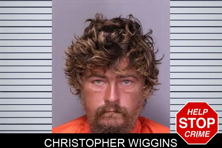 Christopher Wiggins