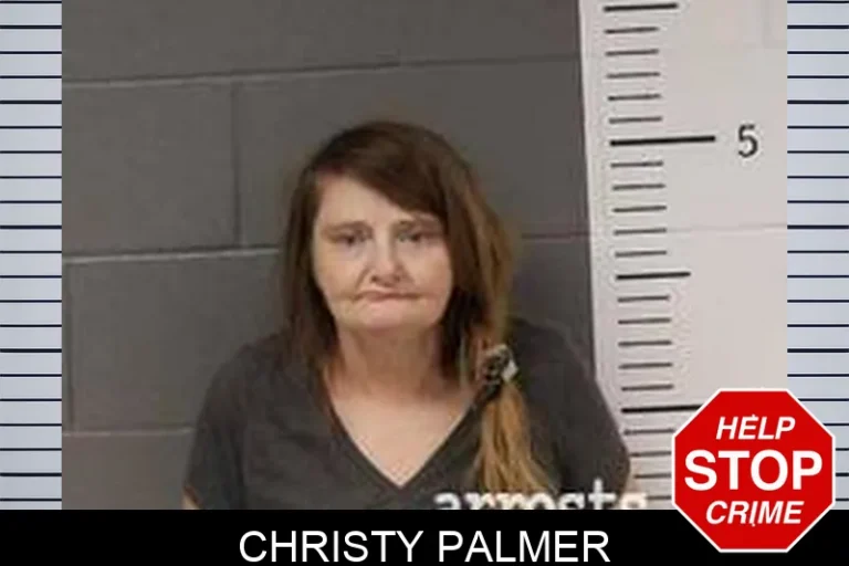 Christy Palmer
