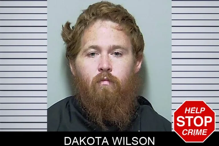 Dakota Wilson