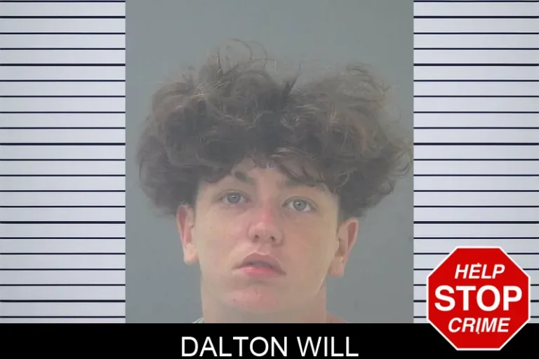 Dalton Will