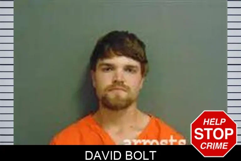 David Bolt