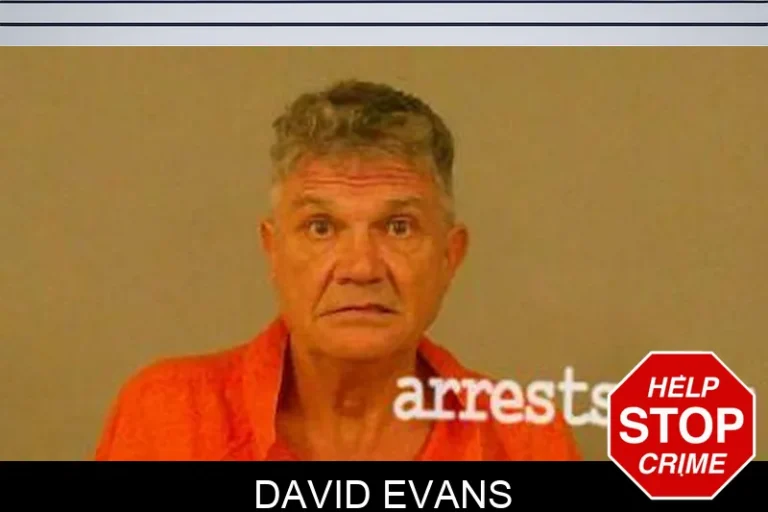 David Evans