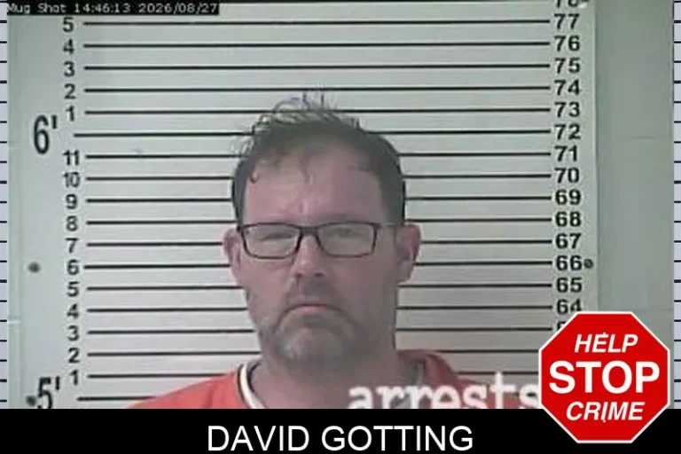 David Gotting
