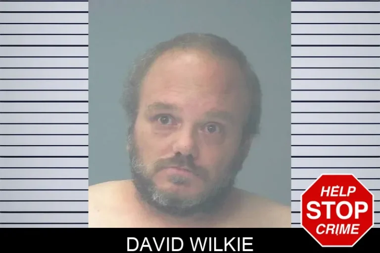 David Wilkie