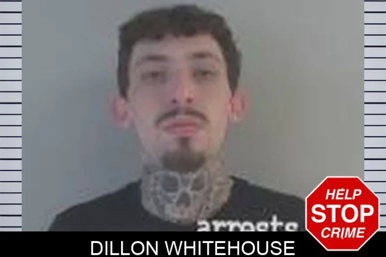 Dillon Whitehouse