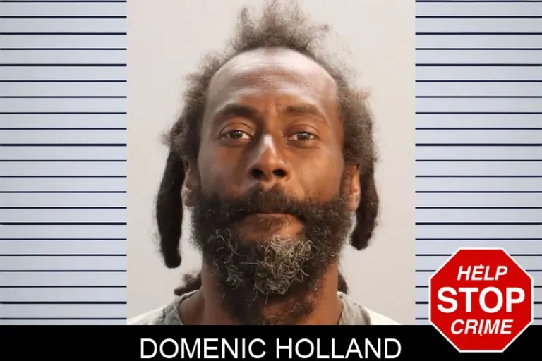 Domenic Holland