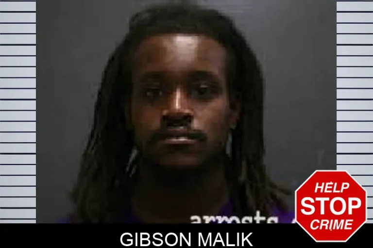 Gibson Malik