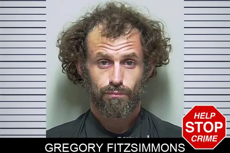 Gregory Fitzsimmons