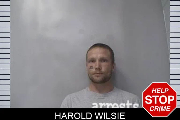 Harold Wilsie