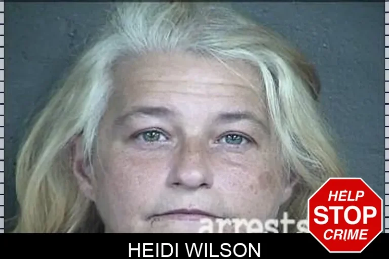 Heidi Wilson