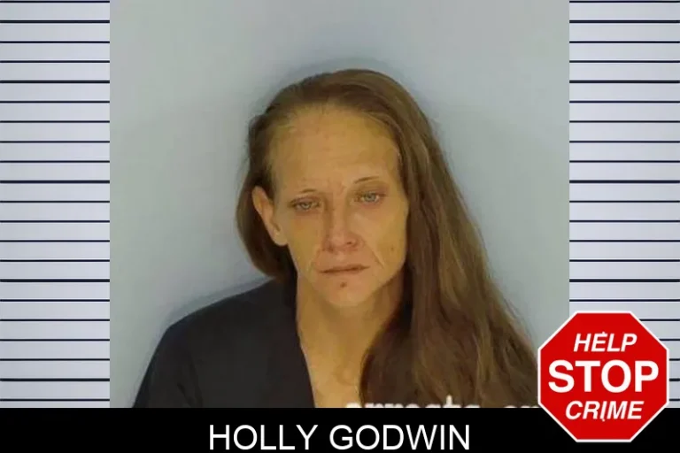 Holly Godwin