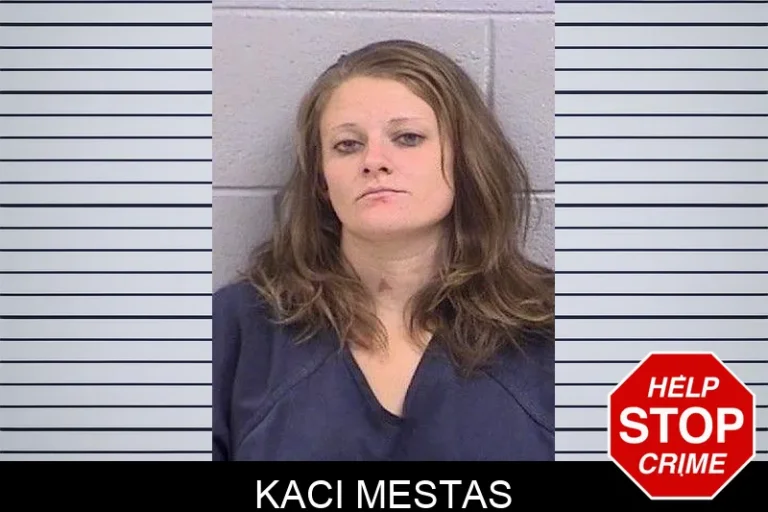 Kaci Mestas