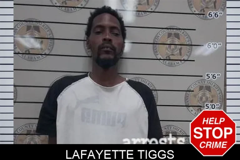 Lafayette Tiggs