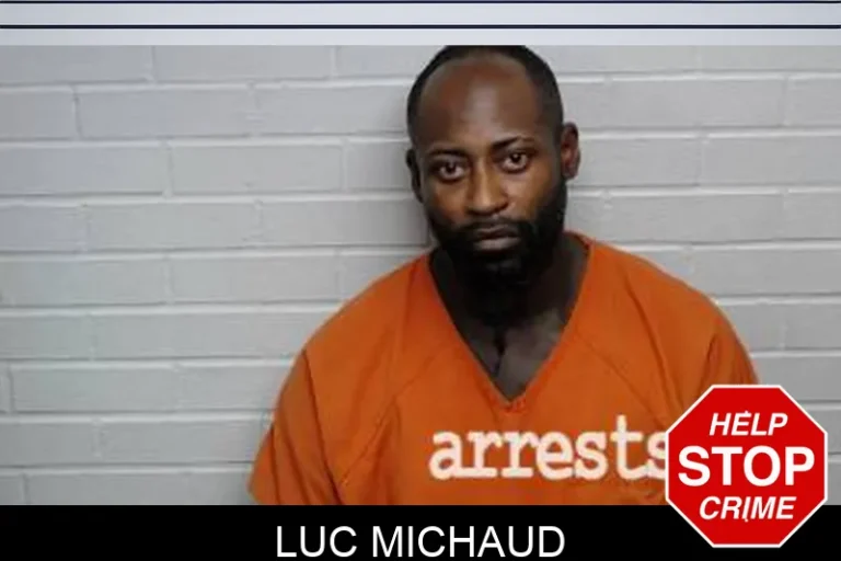 Luc Michaud