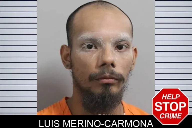 Luis Merino-Carmona