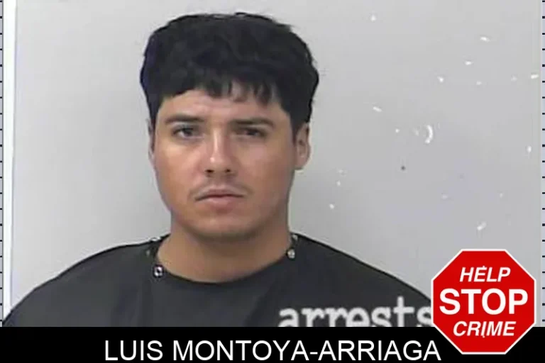 Luis Montoya-Arriaga