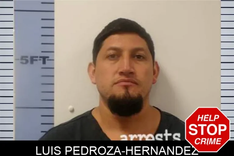 Luis Pedroza-Hernandez