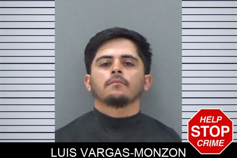 Luis Vargas-Monzon