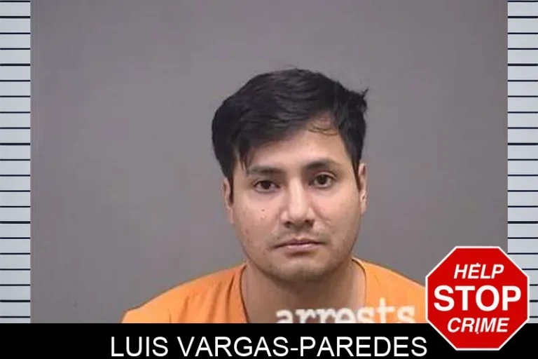 Luis Vargas-Paredes