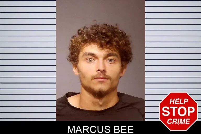 Marcus Bee
