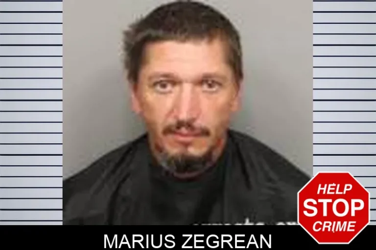 Marius Zegrean