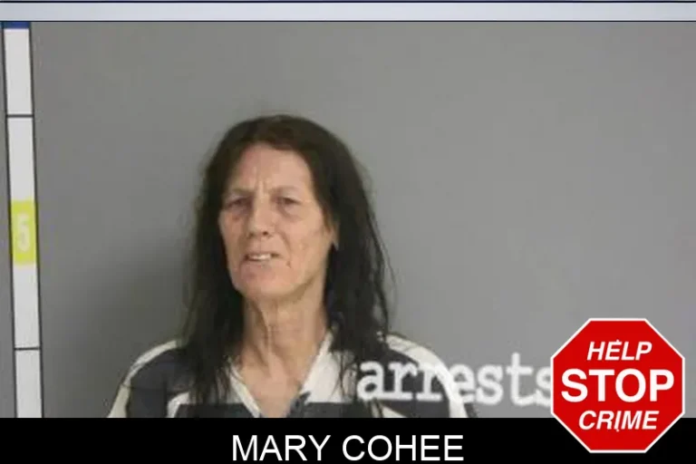 Mary Cohee
