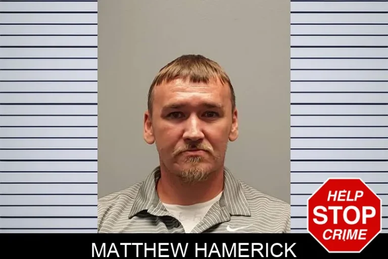 Matthew Hamerick