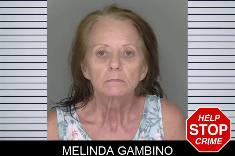 Melinda Gambino
