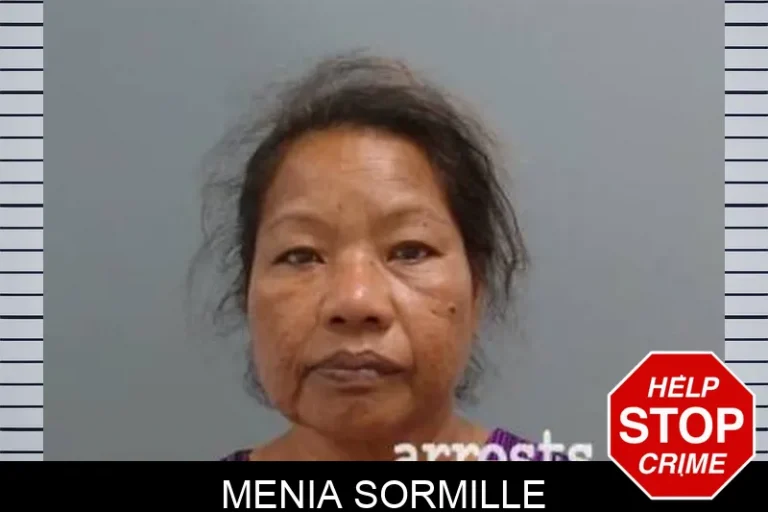 Menia Sormille