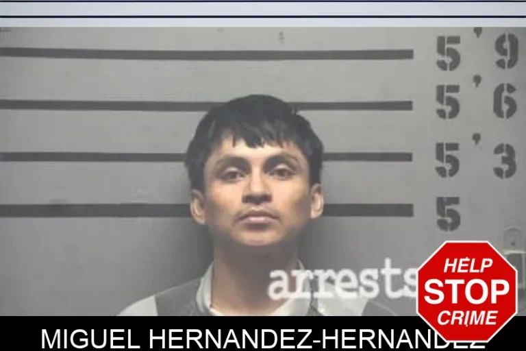 Miguel Hernandez-Hernandez