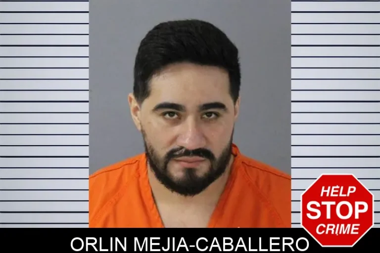 Orlin Mejia-Caballero