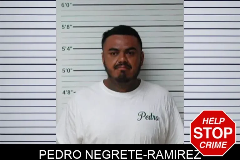 Pedro Negrete-Ramirez