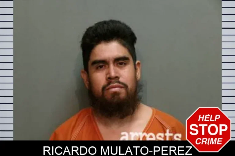 Ricardo Mulato-Perez