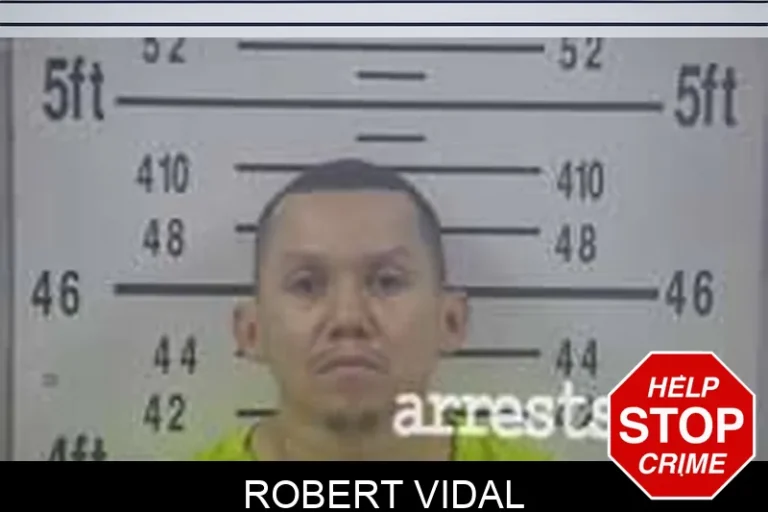 Robert Vidal
