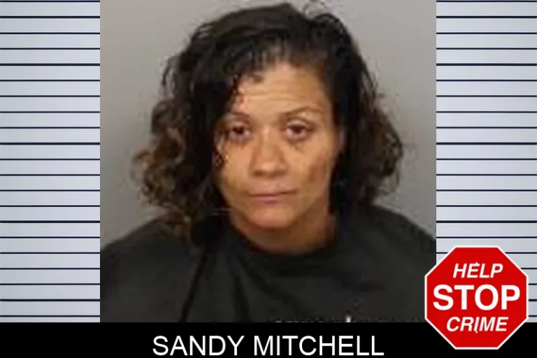 Sandy Mitchell