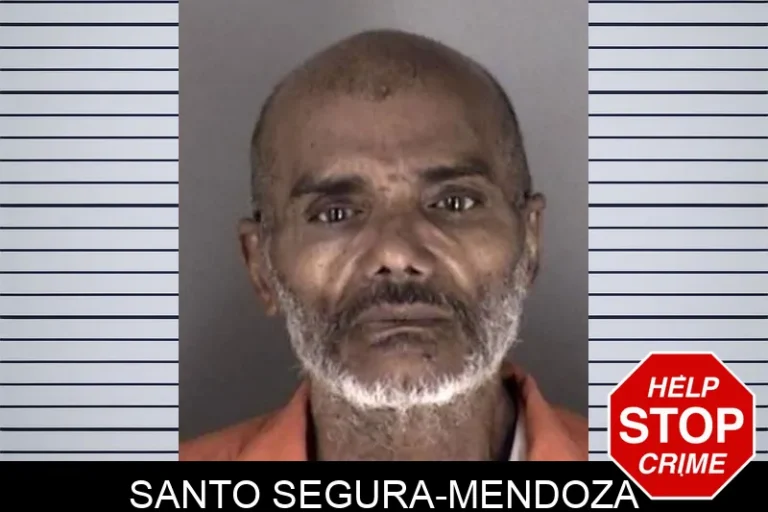 Santo Segura-Mendoza