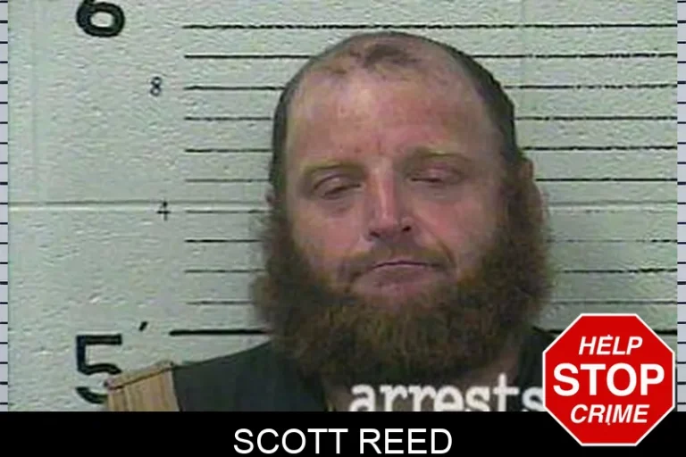 Scott Reed