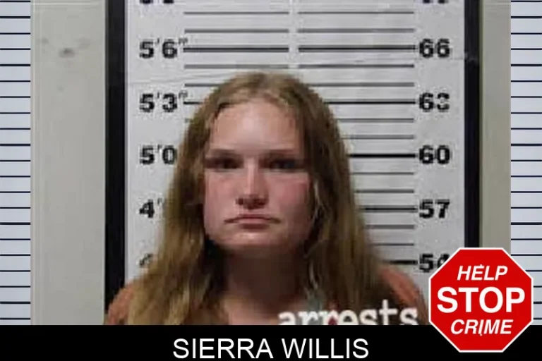 Sierra Willis