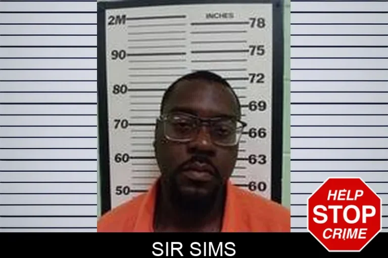 Sir Sims