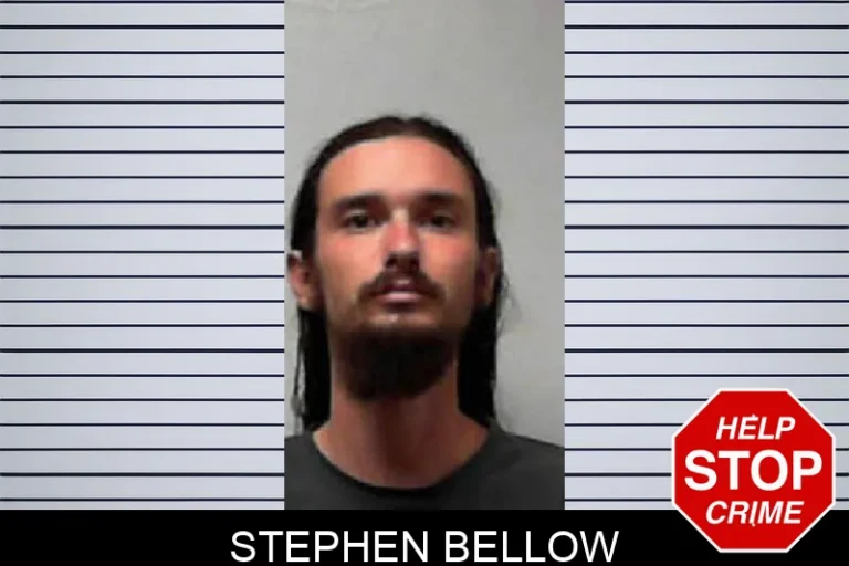 Stephen Bellow