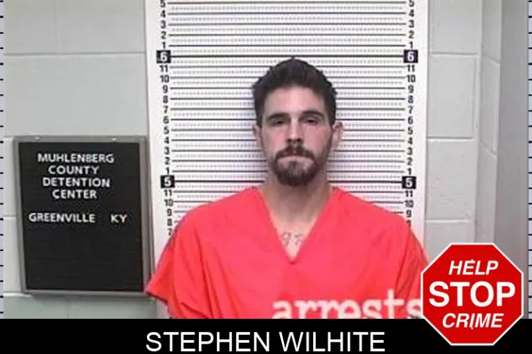 Stephen Wilhite