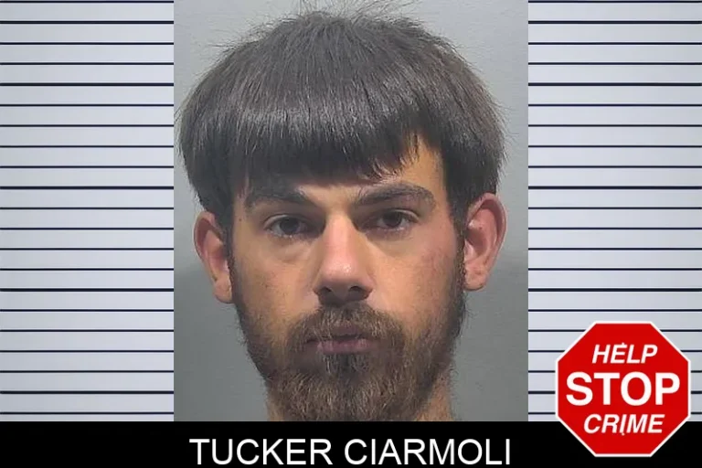 Tucker Ciarmoli