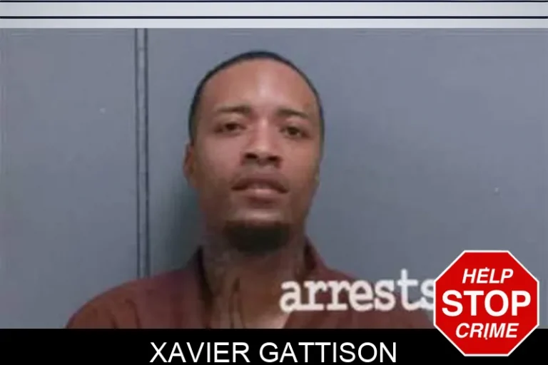 Xavier Gattison