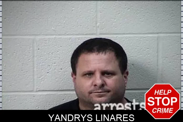 Yandrys Linares