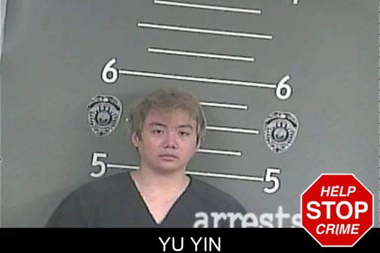 Yu Yin