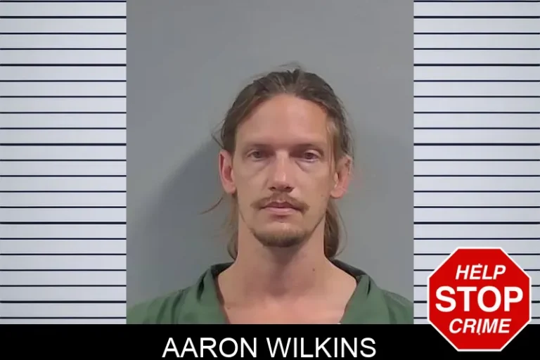 Aaron Wilkins