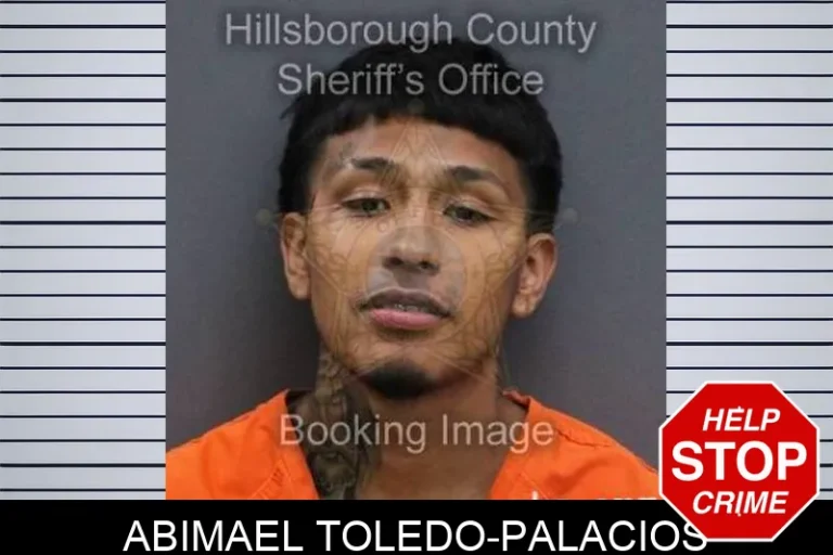 Abimael Toledo-Palacios