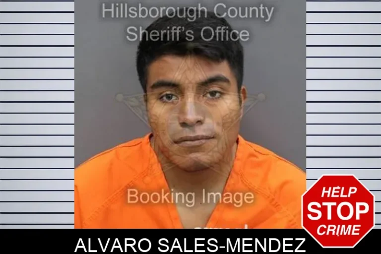 Alvaro Sales-Mendez