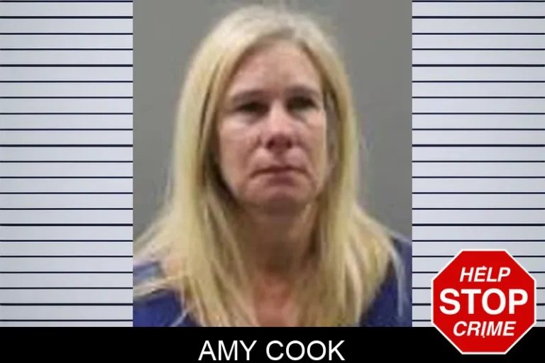 Amy Cook