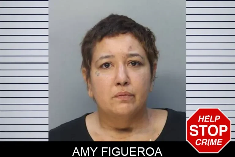 Amy Figueroa
